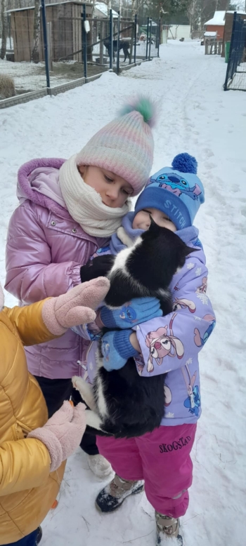 8313c336-9da1-4271-9b95-ca9b6d776615