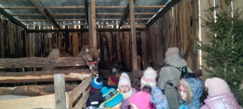 d6de728a-3fd1-4054-a281-f2a18c4d0ff2