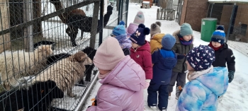 d9716625-7631-4bc9-a5a8-30381cefa514