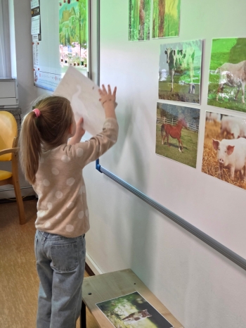 IMG_20260306_183429 (3)