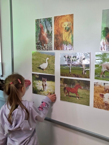 IMG_20260306_183424 (8)