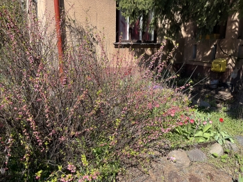 IMG_4372.jpeg