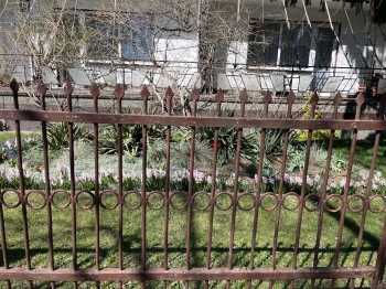 IMG_4393.jpeg