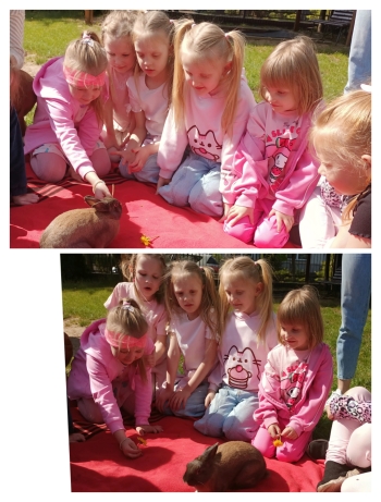IMG_20260515_113806