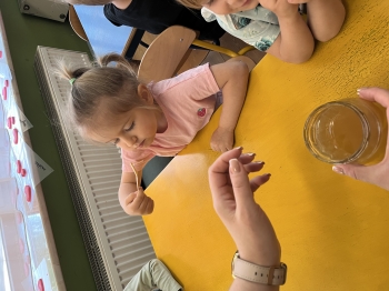 IMG_5065.jpeg