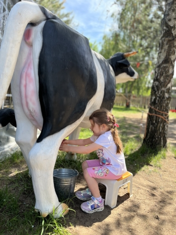 IMG_5267.jpeg