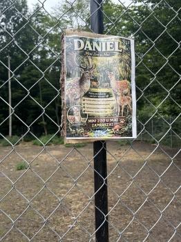 IMG_8882.jpeg