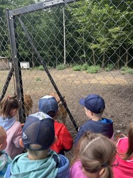 IMG_8879.jpeg