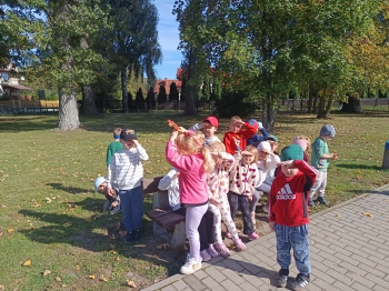IMG_20261001_133226