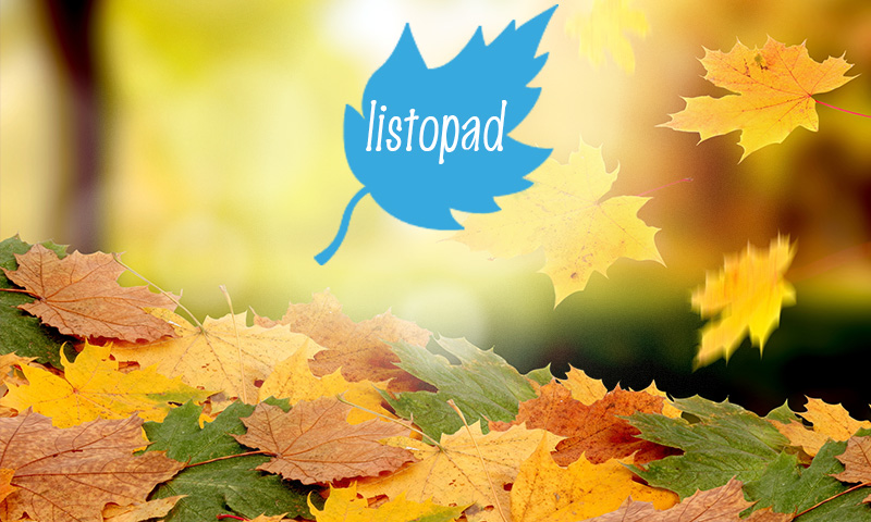 Zamierzenia na listopad