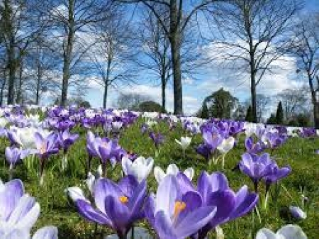 ZAMIERZENIA DYDAKTYCZNO - WYCHOWAWCZE NA MIESIĄC MARZEC
