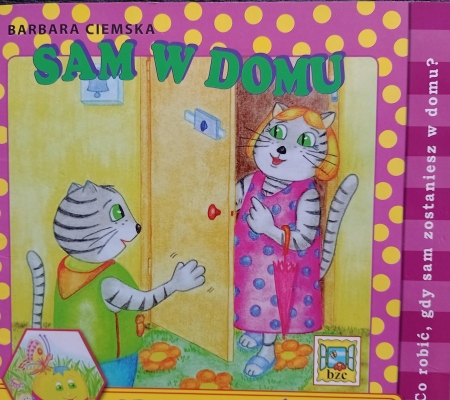 BEZPIECZNY ŚWIAT  ( CZ.3 ) - PROGRAM AUTORSKI