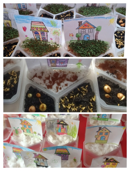 Zielony ogródek u Misiów 