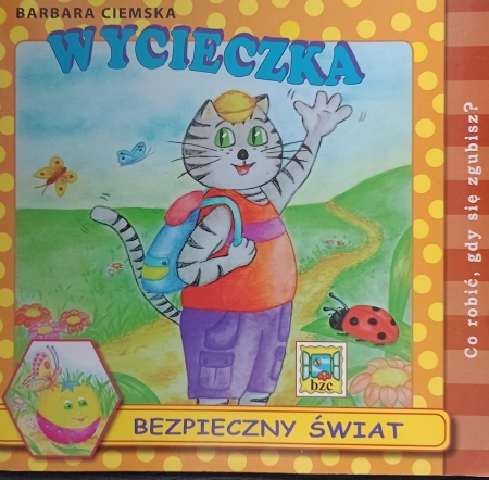 BEZPIECZNY ŚWIAT ( CZ.5 ) - PROGRAM AUTORSKI