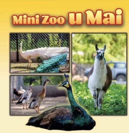 Wycieczka do Mini zoo 