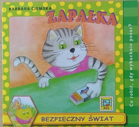 BEZPIECZNY ŚWIAT (8) - PROGRAM AUTORSKI