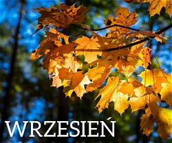 Zamierzenia dydaktyczno - wychowawcze na miesiąc wrzesień 
